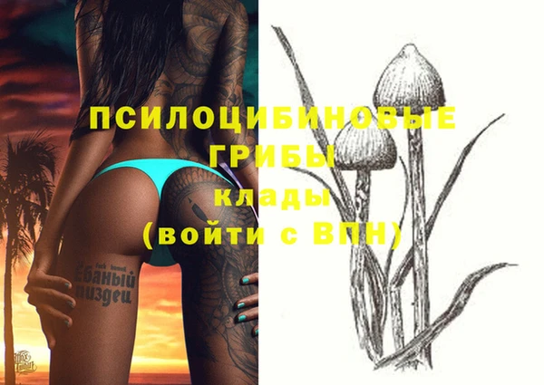 каннабис Горно-Алтайск